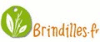 Logo boutique Brindilles