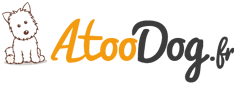 Logo boutique AtooDog
